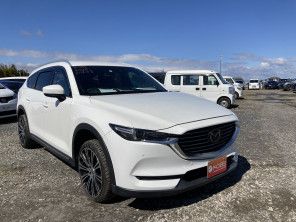 2019 Mazda CX-8 thumbnail