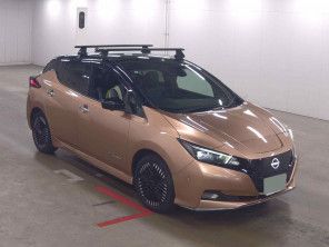 2022 Nissan Leaf thumbnail