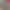 2019 Nissan March thumbnail