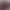 2019 Honda Vezel thumbnail